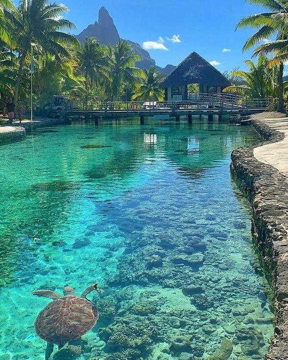 decouvertes-tropicales-1.jpg