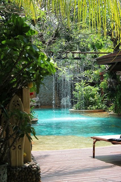 decouvertes-tropicales-2.jpg