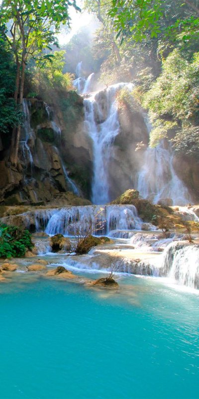 decouvertes-tropicales-11.jpg