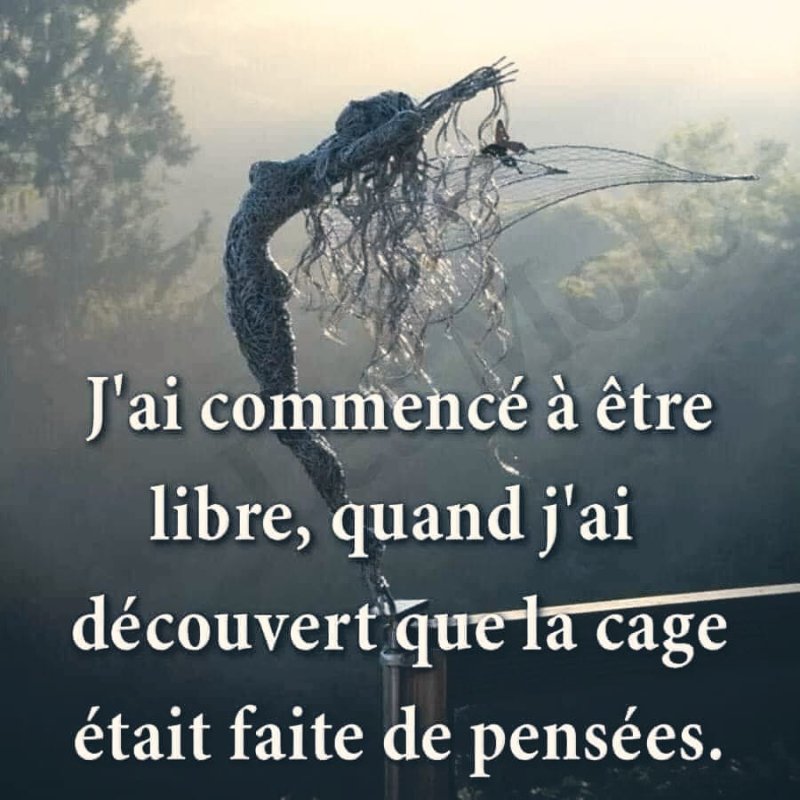 reflexion-sur-les-pensees-limitantes.jpg