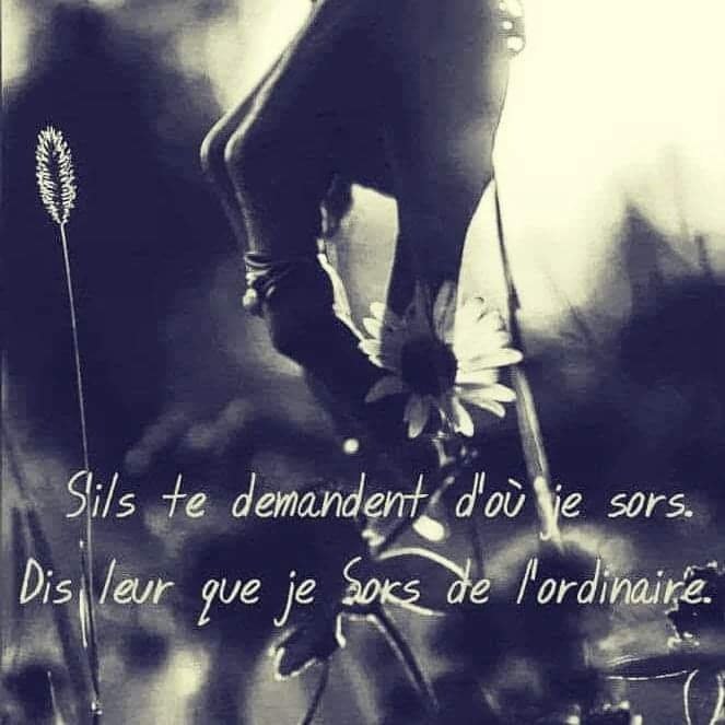 je-sors-de-l-ordinaire.jpeg