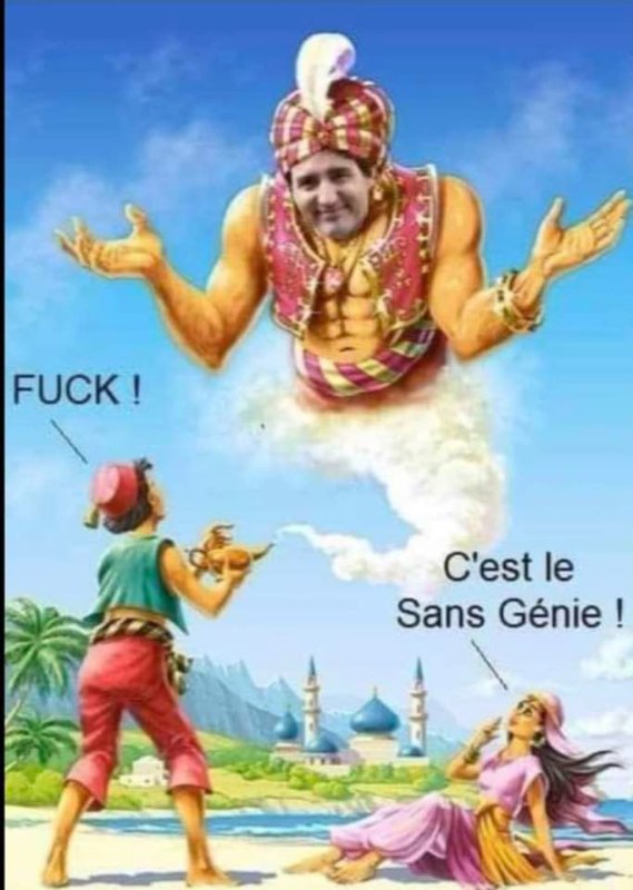 le-sans-genie.jpg