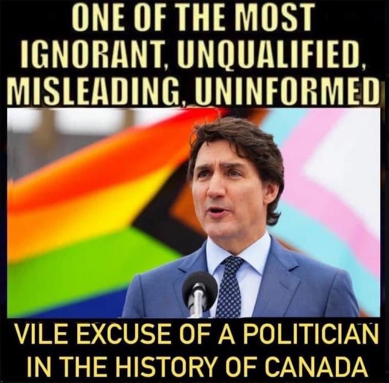 justin-trudeau-woko-mondialiste.jpg