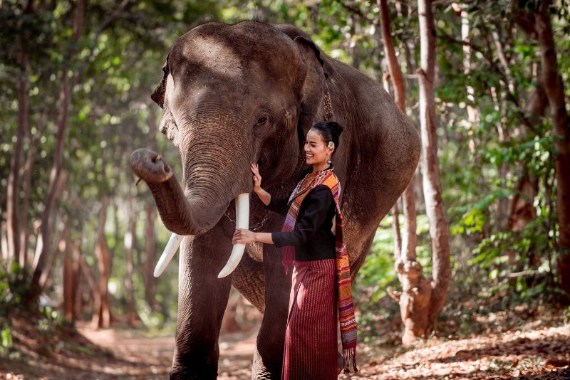 elephant-et-femme-en-asie.jpg