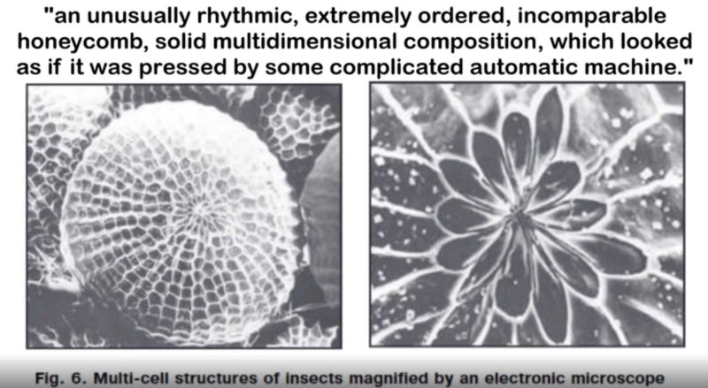 composition-multidimensionnelle-antigravite.jpg