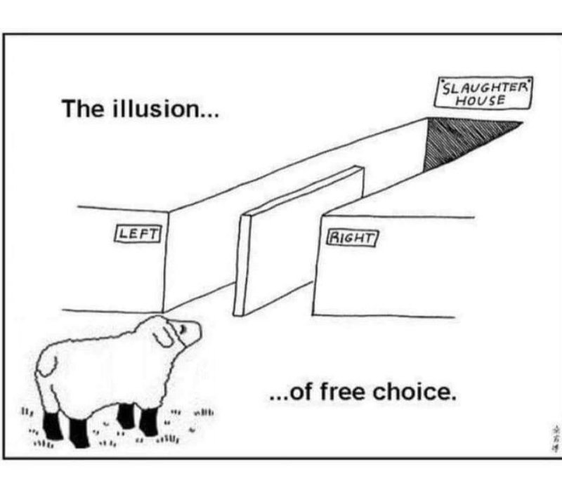 l-illusion-du-libre-choix.jpg