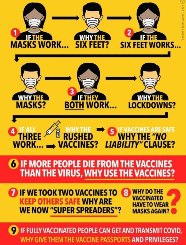 les-masques-et-la-distanciation-ne-fonctionnent-pas-plus-que-les-faux-vaccins.JPG