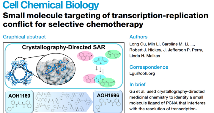 petite-molecule-qui-cible-selectivement-la-transcription-de-la-replication-telle-une-chimio-slective.png