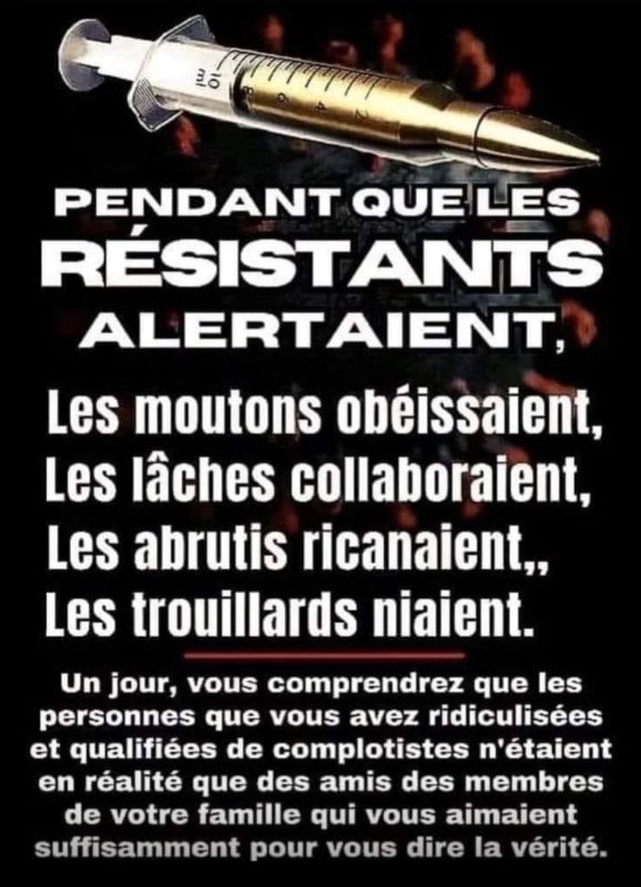 pendant-que-les-resistants-alertaient.jpg