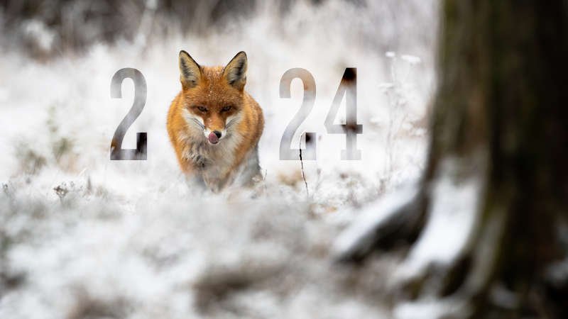on-va-en-faire-une-bouchee-de-l-annee-2024.jpg