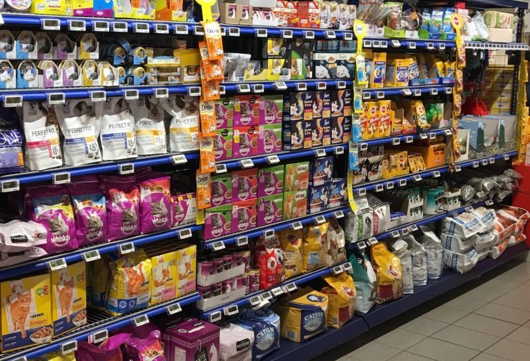 nourriture-pour-les-chats.jpg