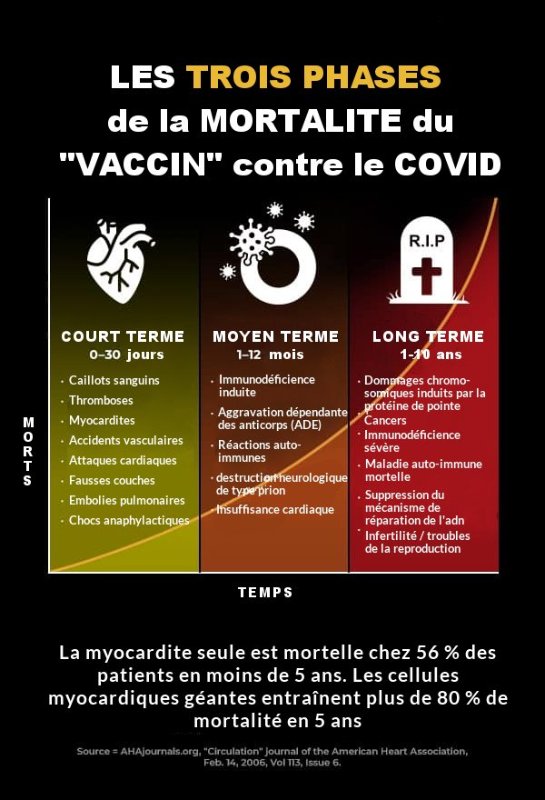 les-3-phases-de-la-mortalite-covid.jpg