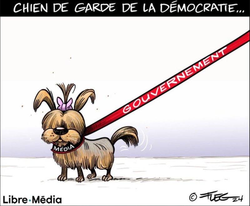 le-faux-chien-de-garde-de-la-democratie.jpg