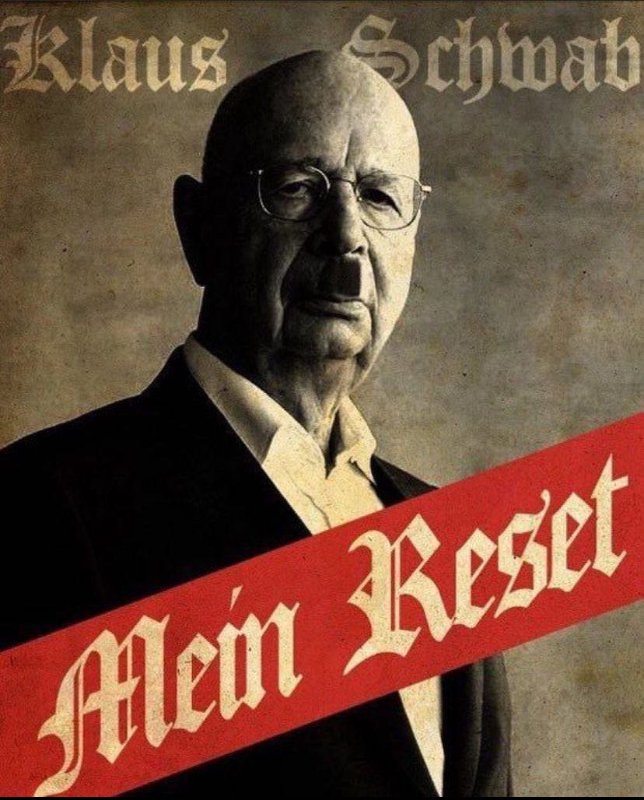 le-grand-vol-schwabbien-via-la-grande-reinitialisation-des-oligarques.jpg