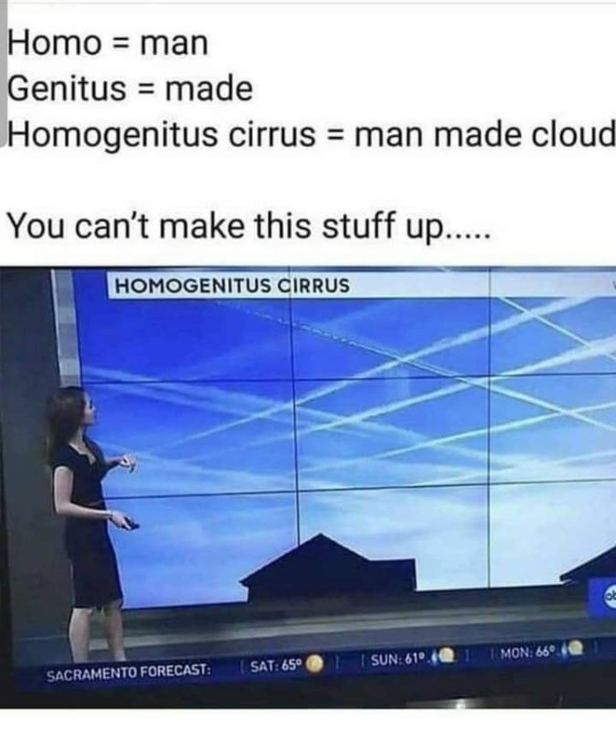les-chemtrails-sortent-dans-les-mainstream-ent-ant-que-nouvelle-normale.jpg