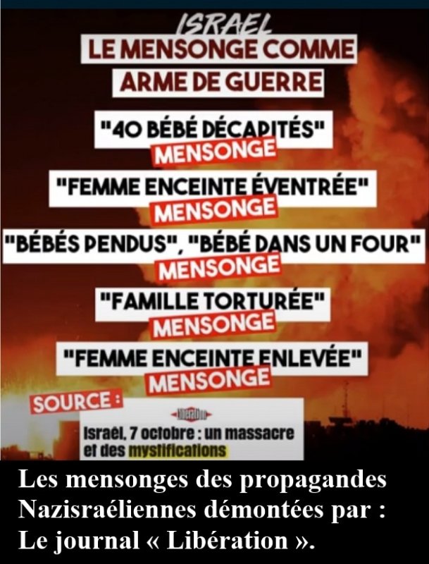 les-mensonges-d-israel.jpg