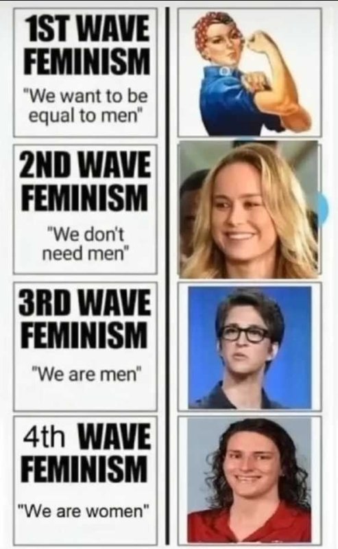 l-involution-du-feminisme.jpg