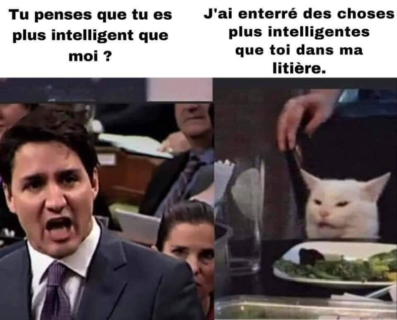 trudeau-versus-ce-qu-on-retrouve-dans-une-litiere-de-chat.jpg