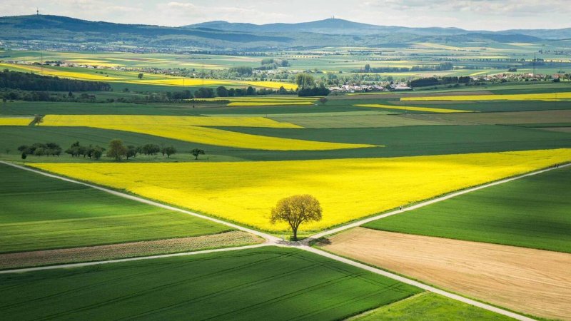 les-terres-agricoles-en-france.jpg