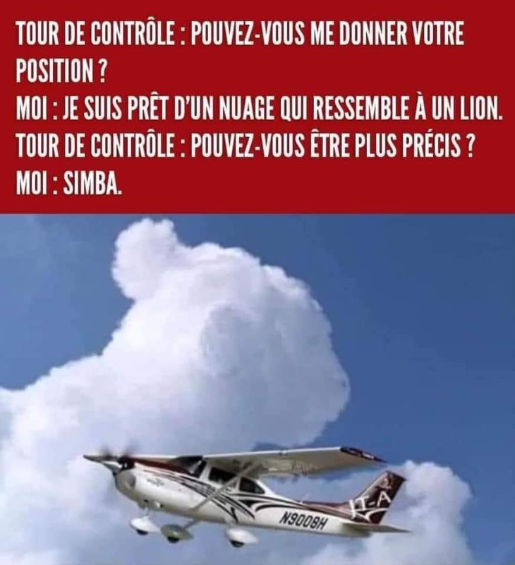 nuage-qui-ressemble-a-un-lion.jpg