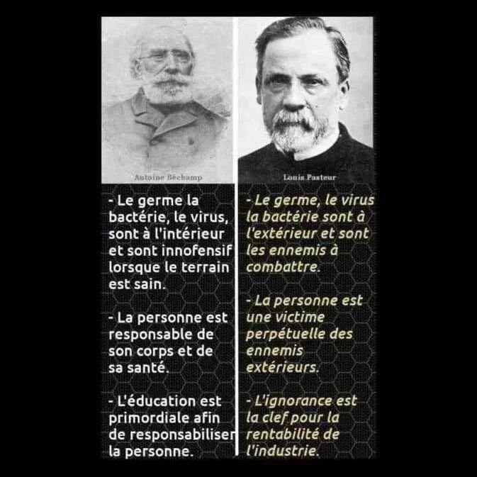 bechamp-avait-raison-et-pasteur-est-un-meurtrier.jpg