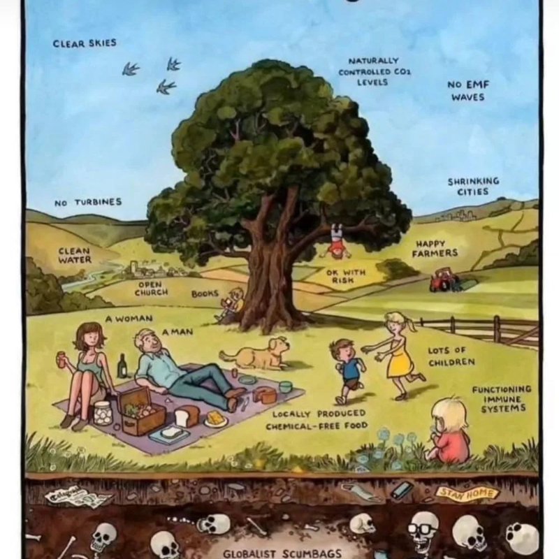 le-monde-que-nous-voulons.jpg
