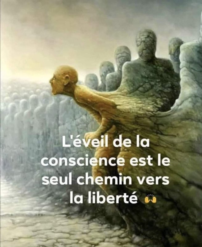 l-eveil-de-la-conscience.jpg