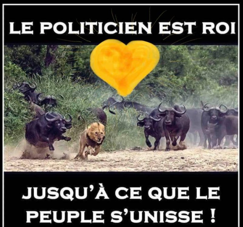 quand-le-peuple-se-reveille.jpg