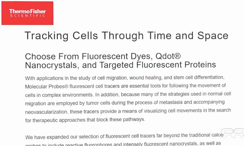 3-quantum-dots-et-nanocristaux-de-thermo-fisher.jpg