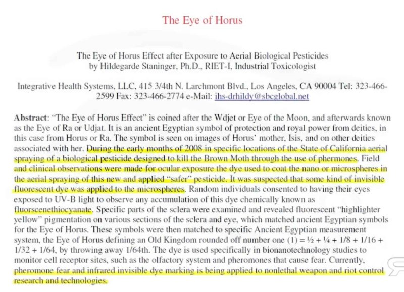 5-l-oeil-d-horus.jpg