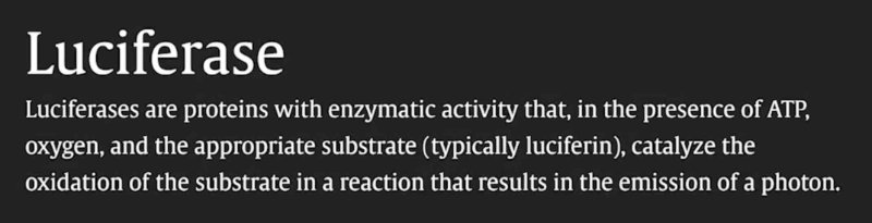 8-la-luciferase.jpg