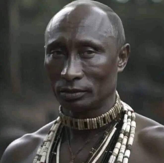 vladimir-poutine-selon-google-ai-humour.jpg