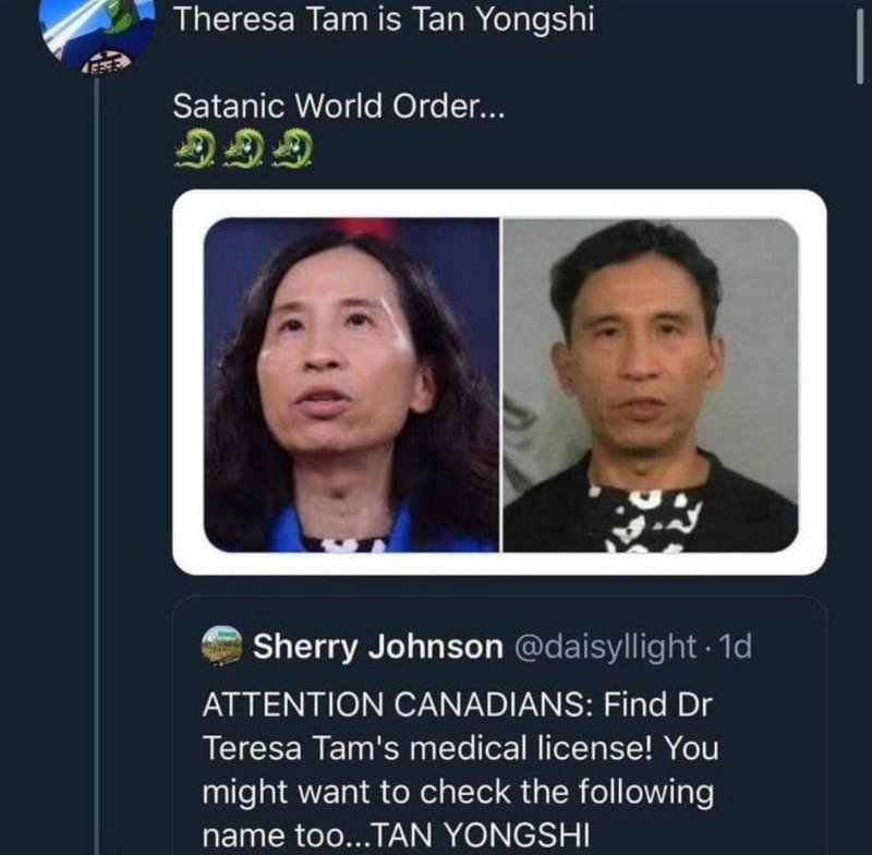 theresa-tam-est-en-realite-tan-yongshi.jpg