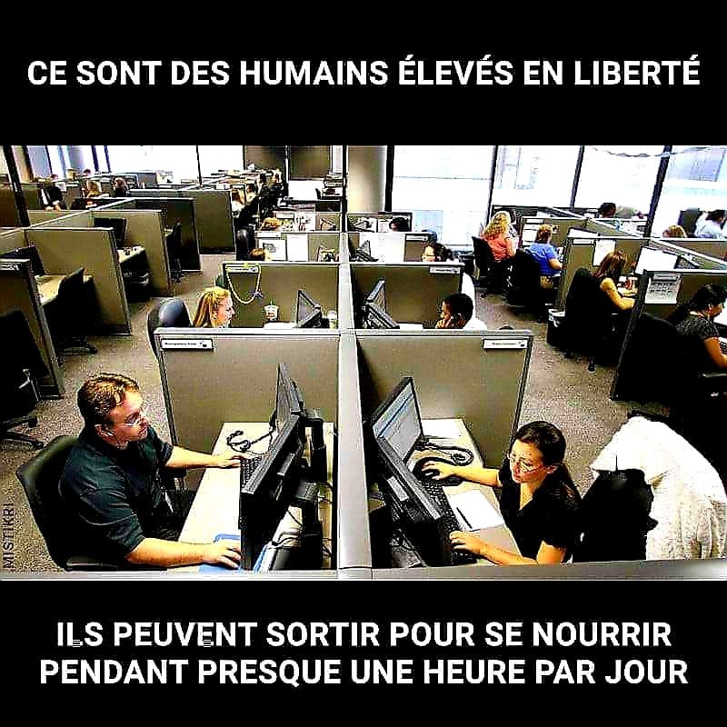 les-humains-en-prison-professionnelle.jpg