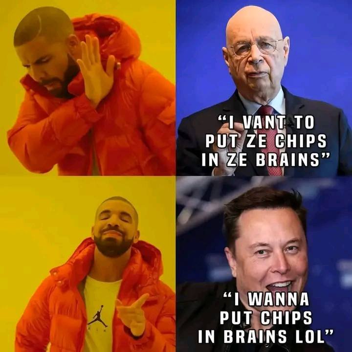 des-puces-dans-votre-cerveau.jpg