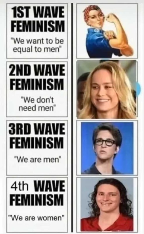 le-feminisme-est-un-piege-pour-les-femmes-naives.jpg