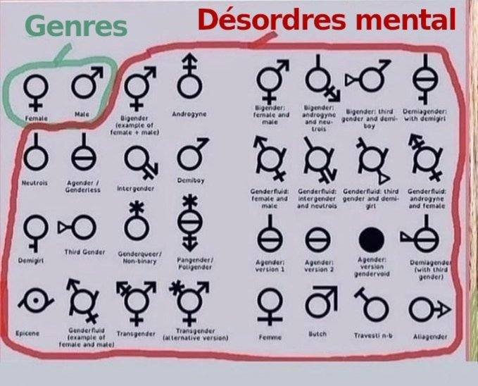 les-2-genres-et-les-desordres-mentaux.jpg