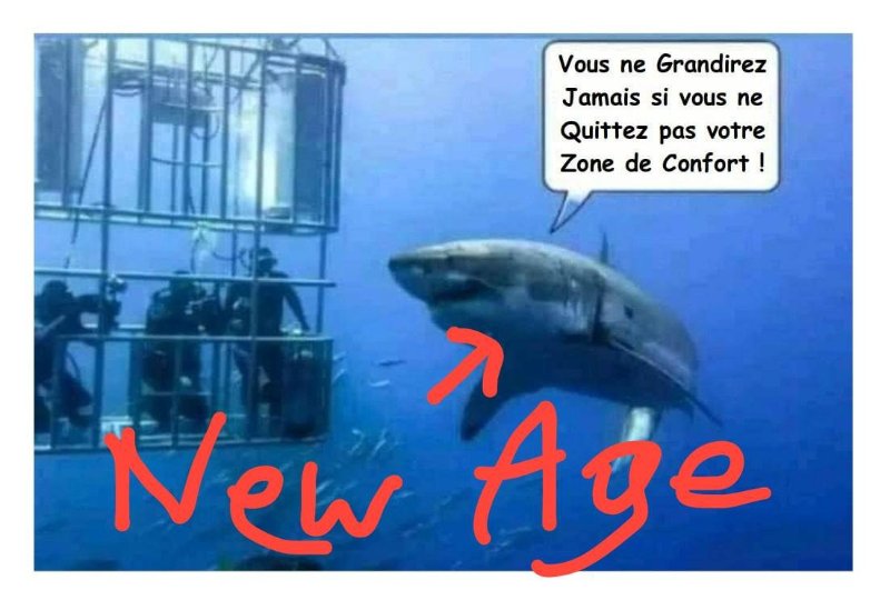 redoutez-le-new-age.jpg