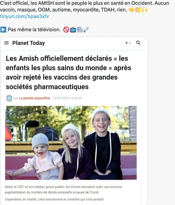 les-amish-sont-en-sante.jpeg
