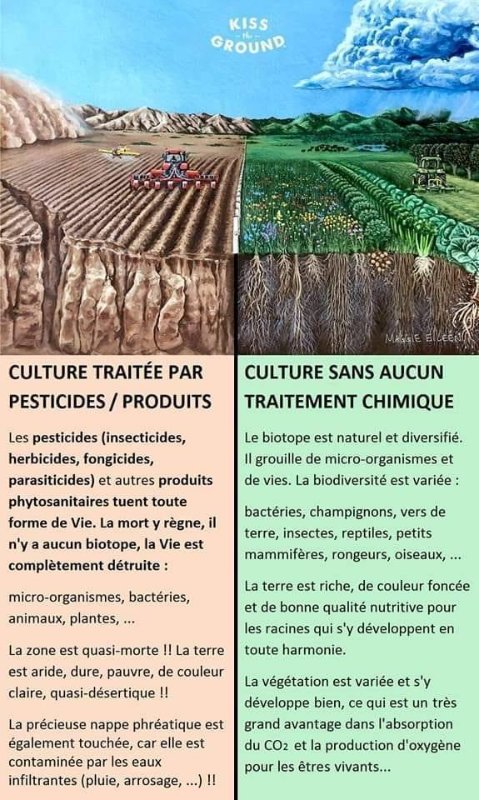 pesticides.jpg