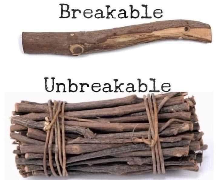 brisable-ou-non.jpg