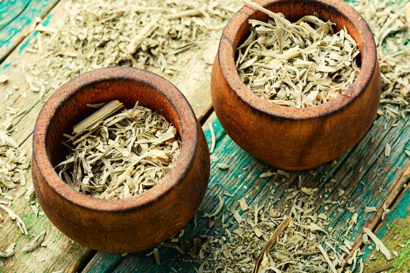 herbe-d-absinthe-artemisia-annua.jpg