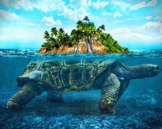 l-ile-a-la-tortue.jpg
