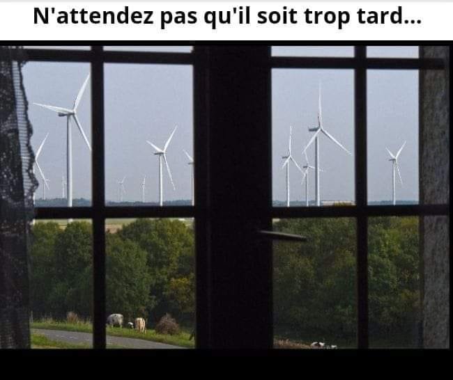 la-multiplication-des-eoliennes.jpg