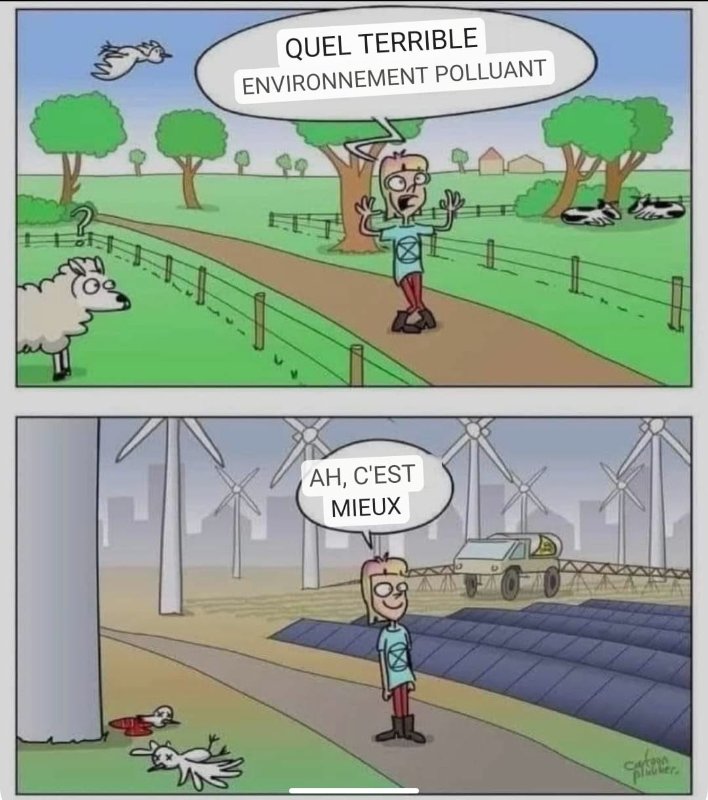 les-wokes-verts-sont-des-cretins.jpg