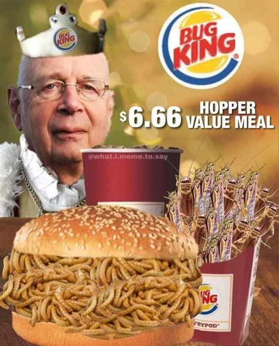 le-roi-des-insectes-klaus-schwab.jpg