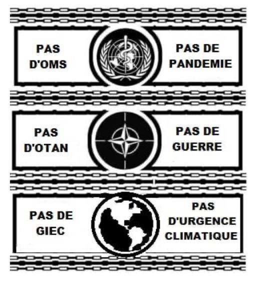 les-mondialistes-sont-les-empoisonneurs-du-monde.png