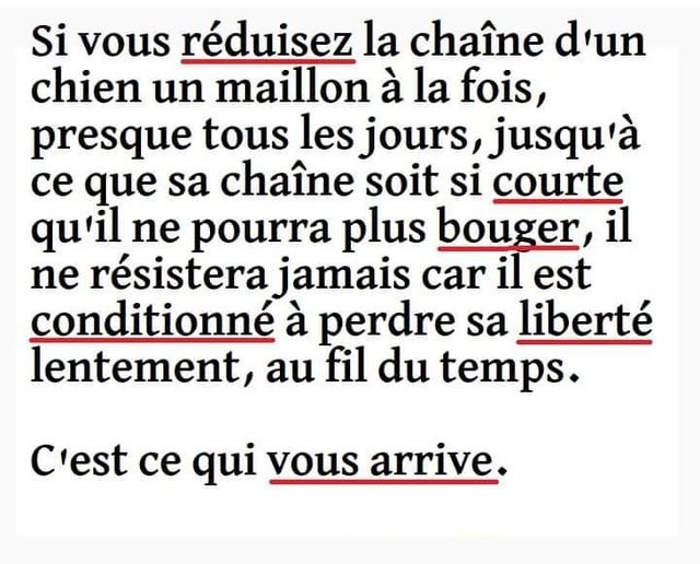 reduire-la-chaine-d-un-chienl.jpg