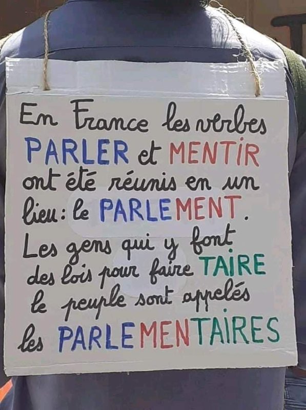 les-parlementaires.jpg
