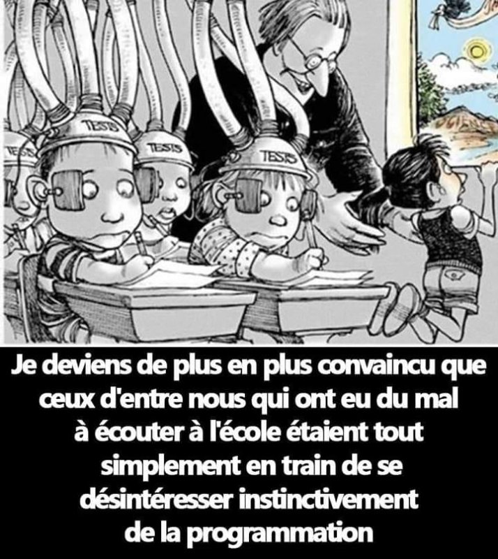 la-programmation-a-l-ecole-est-un-piege.jpg